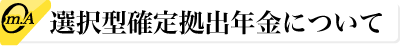 選択型確定拠出年金について